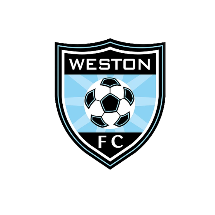 PARTNERING WITH SENDA - 1