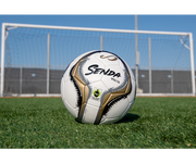 Volta Professional Soccer Ball - 2 Pack